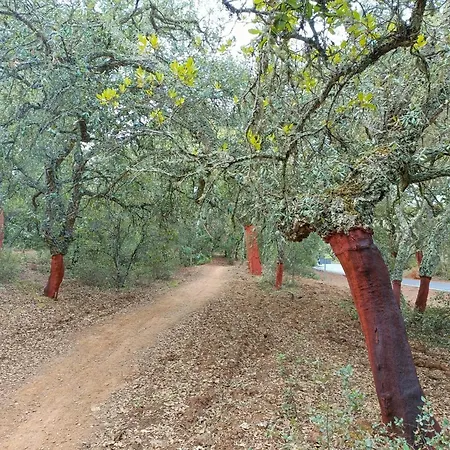 Casa rural Sombrerocordobe *