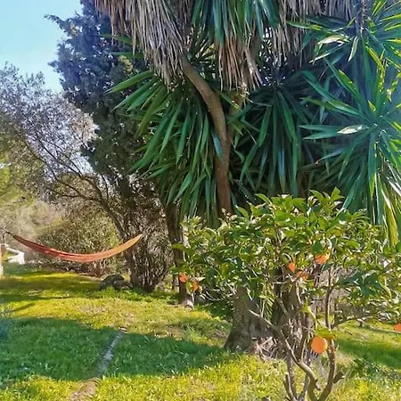 Sombrerocordobe Córdoba