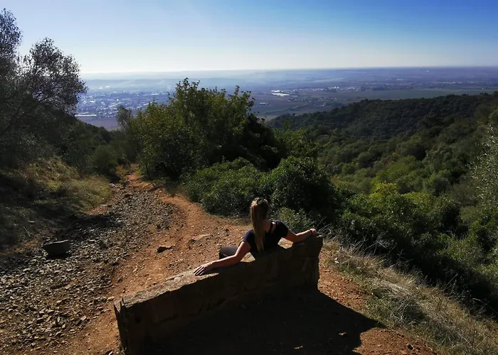 Sombrerocordobe * Cordoue