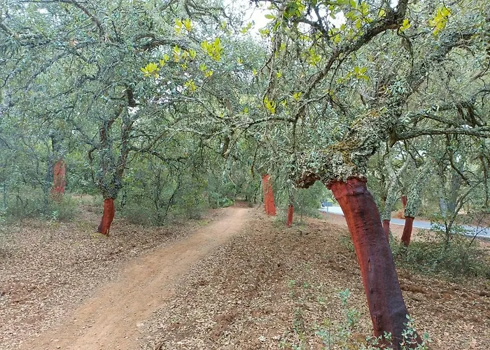 Séjour à la campagne Sombrerocordobe *